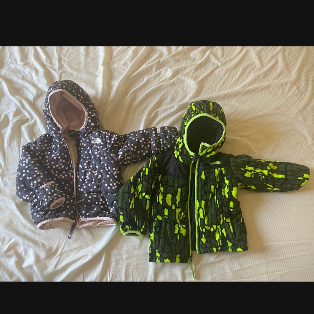 The North face Winter Jacket 2sides wearing ONLY PINK ONE